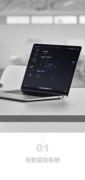Security monitoring system