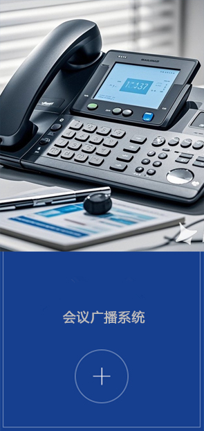 Conference Broadcast System